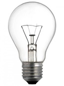 incandescent bulbs